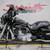 2009 Harley-Davidson Electra Glide® Standard Touring 5 thumbnail