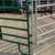 gates/panels/round pens 5 thumbnail