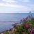 $1,800  Upgraded 1 bedroom steps from Beacon Hill Park and Cook St 11 thumbnail