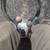 Boat Shifters and cables. 2 thumbnail