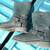 Mens Harley Davidson Boots-Size 10 1/2 3 thumbnail