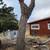 High Rockies Arborist & Handyman 3 thumbnail
