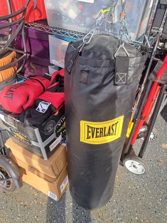 Heavy Bag with Gloves Free 1