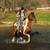 Gorgeous bay paint super fun gaited gelding 1 thumbnail