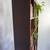 Handcrafted Solid Wood Bookcase Set | Custom Library Wall Bookshelf 13 thumbnail