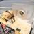 Plint & Partners Centrifugal Water Pump Tester 14 thumbnail