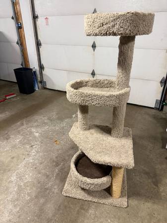 Cat condo 1