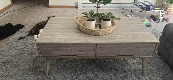 Modern Coffee table with storage shelf 1