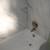 ***BATHROOM REMODELING*** WEST HOME IMPROVEMENTS. PA #026706. 6 thumbnail