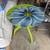 Funky mirror & hand painted table 1 thumbnail