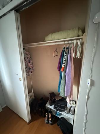 $1,500 / 3br - 100ft2 - Furnished room in Williamsburg, available now. Utilities/WiFi included (Williamsburg)63788361300739123