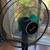 Fan Costway 16”- adjustable oscillating fan with remote 2 thumbnail