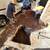 🛠️ Need a Plumber? $100 Drain Cleaning • Water Heater & Gas Line Pros 9 thumbnail