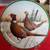 North America Game Bird "Ring-necked Pheasant" Vintage Collector Plate 1 thumbnail