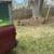 Lawn Mowing Service  Boston Rd/Grayson area 9 thumbnail