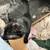 Kitten needs a new home 3 thumbnail