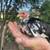 Kiki chicks 1 thumbnail