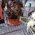 FALL/HALLOWEEN DECOR 3 thumbnail