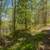 End of Warnock Road-Log Cabin! 14 thumbnail