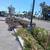 Gardening and landscape 10 thumbnail