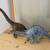 Lot of 2 large, heavy duty plastic dinosaurs 1 thumbnail