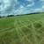 Hay 4x5.5 2 thumbnail