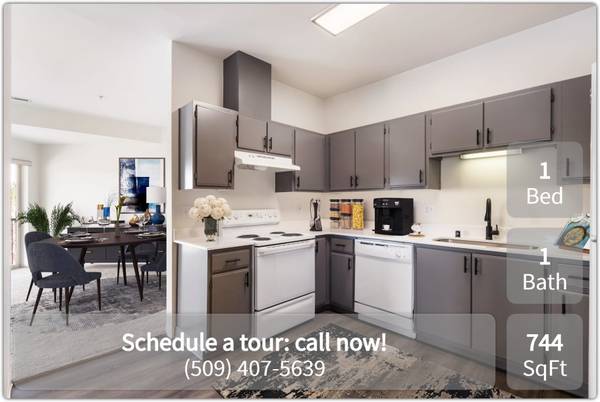 $1,560 / 1br - 744ft2 - Live Large- Open Floor Plan, Tall Cielings, and Brand-New Style! (Richland - Near 240 Bypass)64026290320897121