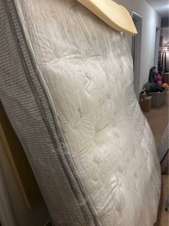 Full Sized Mattress 1
