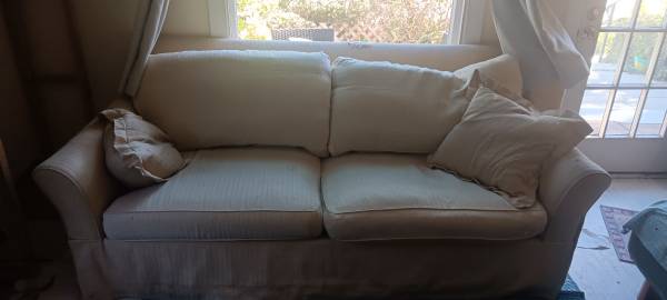Free couch 1
