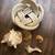giant conch shell and shell 1 thumbnail