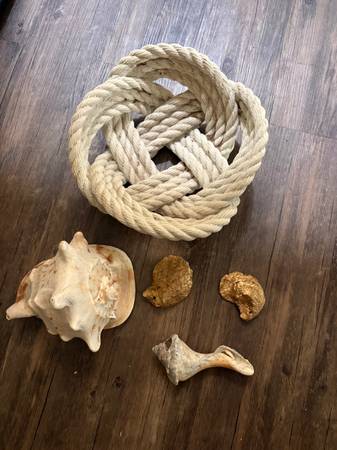 giant conch shell and shell 1