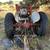 Ford Golden Jubilee tractor 3 thumbnail