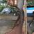 Oldsmobile Cutlass Supreme Brougham 1976/77 passenger fender 4 thumbnail