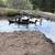 Ducks Indian Runners 2 thumbnail