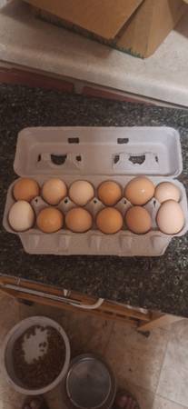 3 dozen brown eggs 1