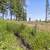 0.34 Acre Lot Paradise Lot, Adjacent to Honey Run Creek 7 thumbnail