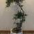 Artificial Olive tree for indoor Decor 48 inch tall 2 thumbnail