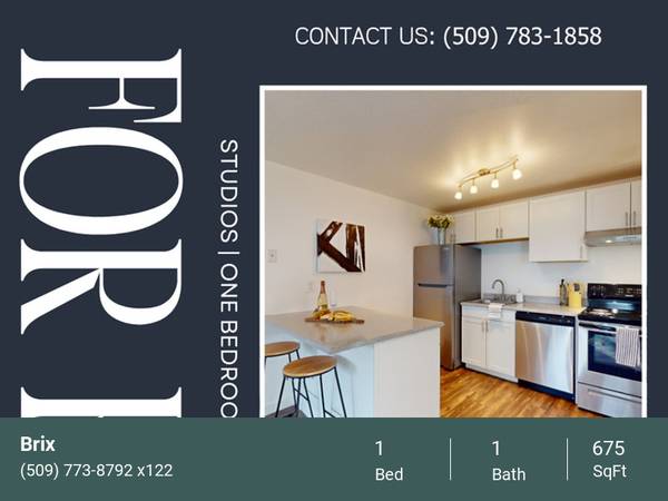 $1,149 / 1br - 675ft2 - A Must See, Wood Style Floors, Studio, 1 and 2 Bedrooms, New Kitchens63894121836547120