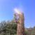 JOSE TREE CARE  SERVICE___________________________ALL SAN JOSE ,N 18 thumbnail
