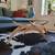 Refinished Vintage Mid Century Modern Sculpural Coffee Table MCM 7 thumbnail