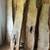 35 live edge slabs 2 thumbnail