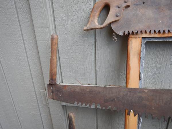 Antique logging saws 1