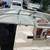 1998 MAXUM 2400 SCR PERFORMANCE CRUISER 4 thumbnail