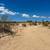 2.5 Acre of Land with Paid Water Meter, Owner Finance, Must Sell 6 thumbnail