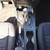 2022 Ford Ranger XLT - Sport Appearance Package, No Accidents 24 thumbnail