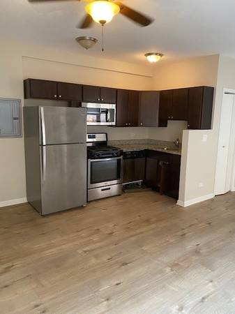 $1,350 / 1br - 500ft2 - Updated Oak Park Studio Apartment (1116) (Oak Park)63898736520451123