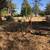 Dosko stump grinder for sale 5 thumbnail