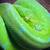 Green Tree Python 2 thumbnail