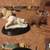 12X BEARS AND WOLF WOLVES FIGURES K'S COLLECTION ENESCO 3 thumbnail