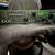 Trace Elliot RAH250 7 Bass Head (Amplifier) 1 thumbnail